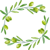 Olive Frame - png grátis