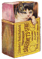 Katze, Cat, Schachtel, Vintage - Бесплатный анимированный гифка