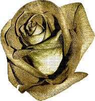 image encre animé effet fleur rose briller anniversaire coin mariage edited by me - GIF animé gratuit