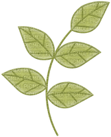 Leaf Pattern green - bezmaksas png