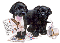 Chiens .S - zadarmo png