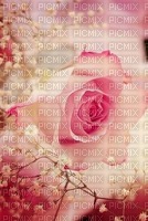 PINK ROSE - 無料png