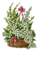 Rena Maiglöckchen Blumen Vase Frühling - png gratis