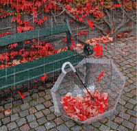 automne pluie fond gif autumn bg - GIF เคลื่อนไหวฟรี