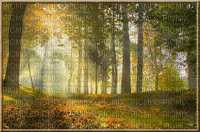 Forest/Foret_PAYSAGE-LANDSCAPE_autumn_BLUE DREAM 70