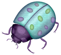 Kaz_Creations Ladybugs Ladybug - 免费PNG