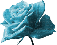 Salomelinda rose bleu ! - png ฟรี
