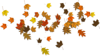 Leaves-RM - png grátis