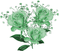 rosas verdes - GIF animé gratuit