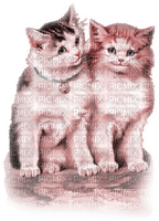 kikkapink couple cat vintage - besplatni png