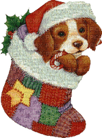 christmas puppy - PNG gratuit