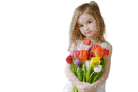 flower,tulip,baby,children - 無料png