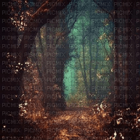 Rena Forest Wald Hintergrund Background - gratis png