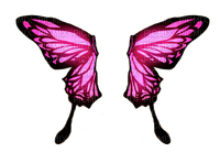 Butterfly Wings ♫{By iskra.filcheva}♫ - 免费PNG