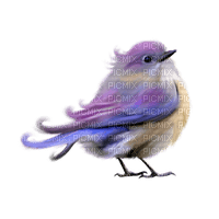 purple bird - ilmainen png