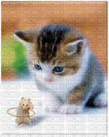 cats bp - Nemokamas animacinis gif