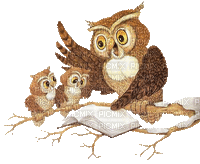 Kaz_Creations Owls Owl Birds Bird - Gratis geanimeerde GIF