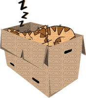 Cat in box - Free PNG