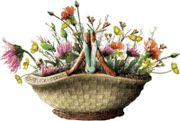 Bloemen en Planten - zadarmo png