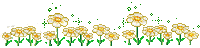 Flowers - Animovaný GIF zadarmo