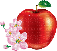 red apple Bb2 - nemokama png