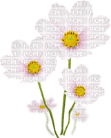 Цветы - бесплатно png