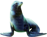 Kaz_Creations Otter - png gratis