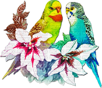 soave deco summer bird tropical parrot flowers - PNG gratuit