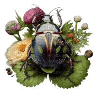 fleurs et insecte - bezmaksas png