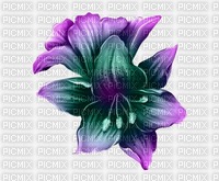 lillie - PNG gratuit