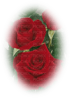 patymirabelle fleurs,rose rouge - PNG gratuit