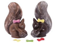 Chocolat écureuils, - gratis png