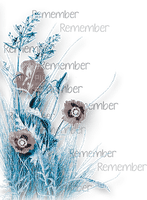 soave deco flowers poppy corner branch text - Free PNG