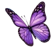 farfalla viola 2 - zdarma png