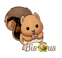 écureuil bisous - GIF animé gratuit