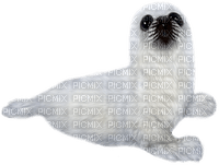 Seal.White - kostenlos png