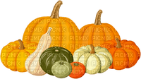 pumpkin Bb2 - png gratis