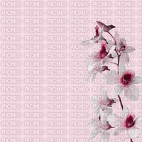BG-flowers-orchide-pink - 免费PNG