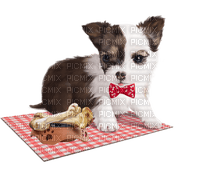 Kaz_Creations Dogs Dog Pup 🐶 - бесплатно png
