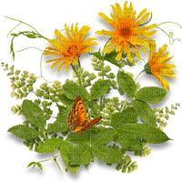 blommor--orange--flowers - PNG gratuit