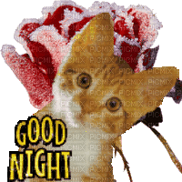 Nina goodnight - GIF animado grátis