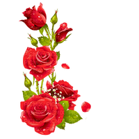 Roses deco - nemokama png
