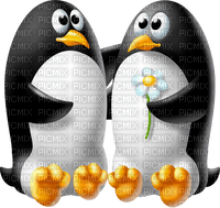 penguins by nataliplus - gratis png