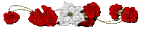 Blumen-Flowers-fleurs - GIF animasi gratis