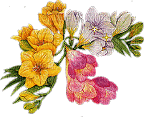 Colorful flowers - GIF animado grátis