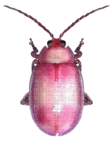 pink bug - gratis png