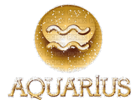 Y.A.M._Zodiac Aquarius text - Bezmaksas animēts GIF