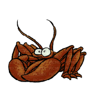 crabs - GIF animado grátis