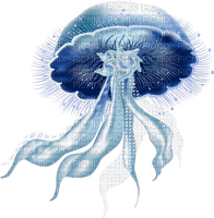 blue jellyfish Bb2 - ücretsiz png