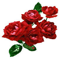 rosas - Бесплатни анимирани ГИФ
